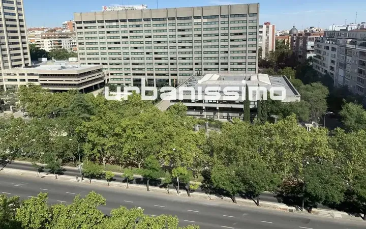 Piso en  Paseo de la Castellana - Foto 11