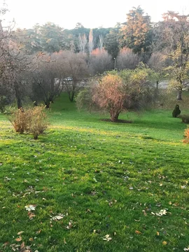 Dúplex en calle de Francisco Lozano, 10 - Foto 24