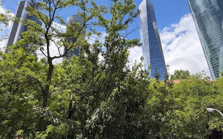 Piso en Castilla - Foto 36