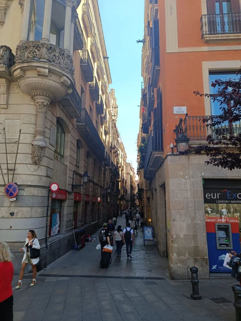 Piso en Plaza del Pi, El Gòtic - Foto 15