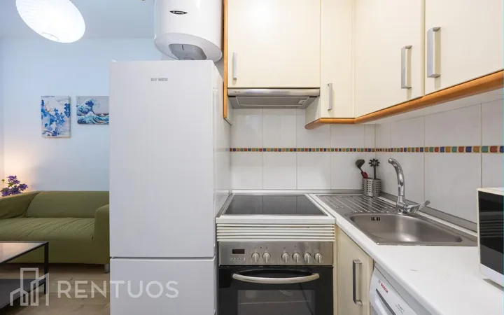 Estudio en Calle Picos de Europa, Numancia - Foto 8