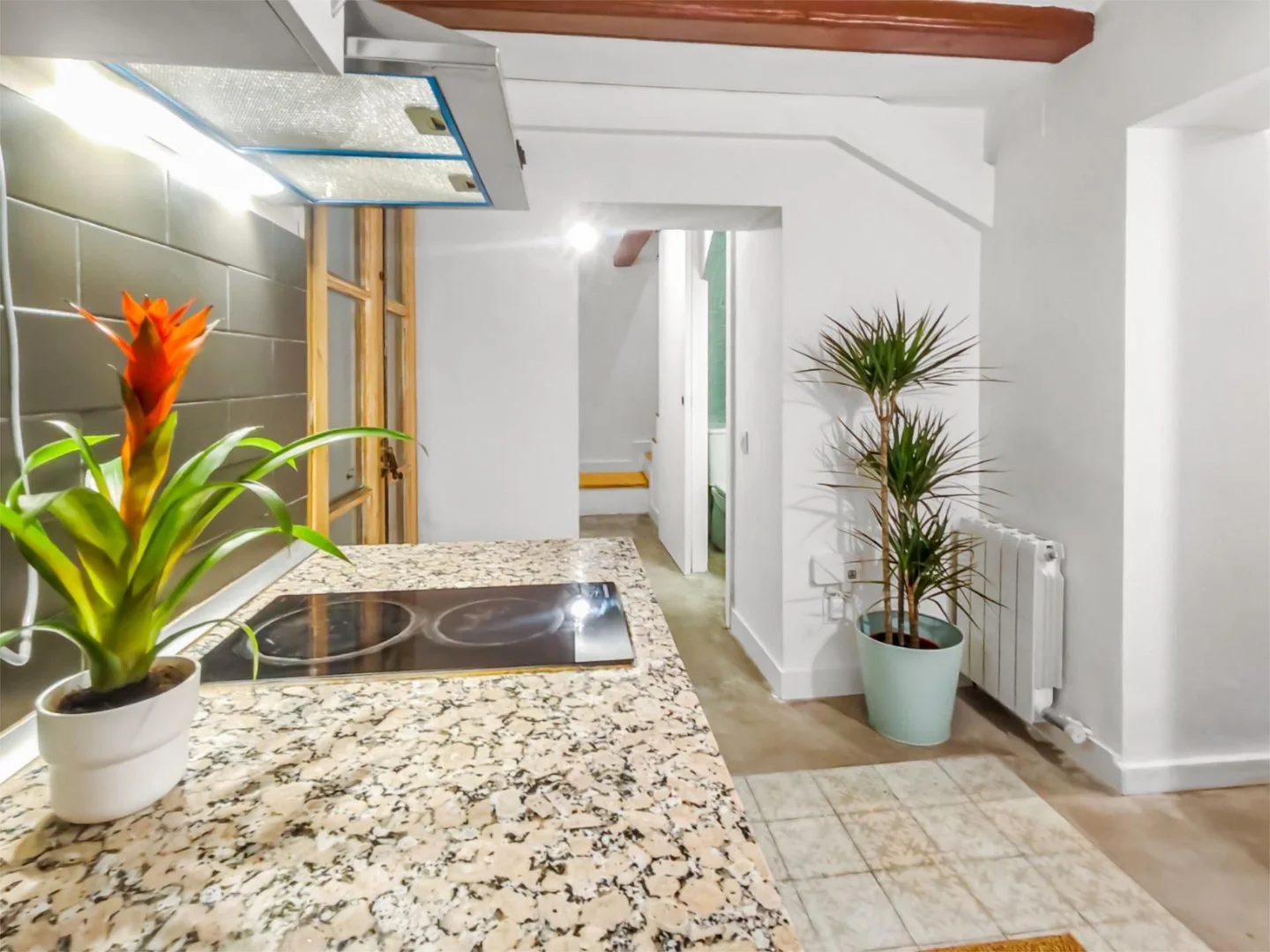 Piso en  Carrer de l'Hospital 83 - Foto 11