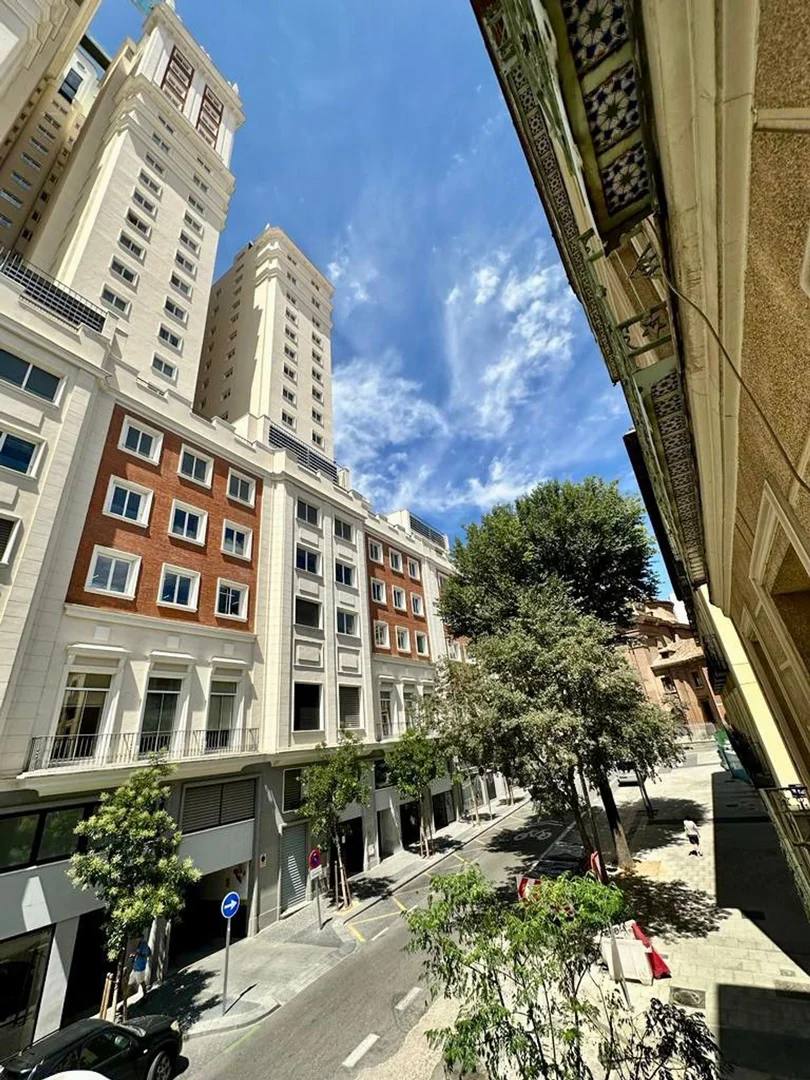 Estudio en calle del Maestro Guerrero, 4 - Foto 11