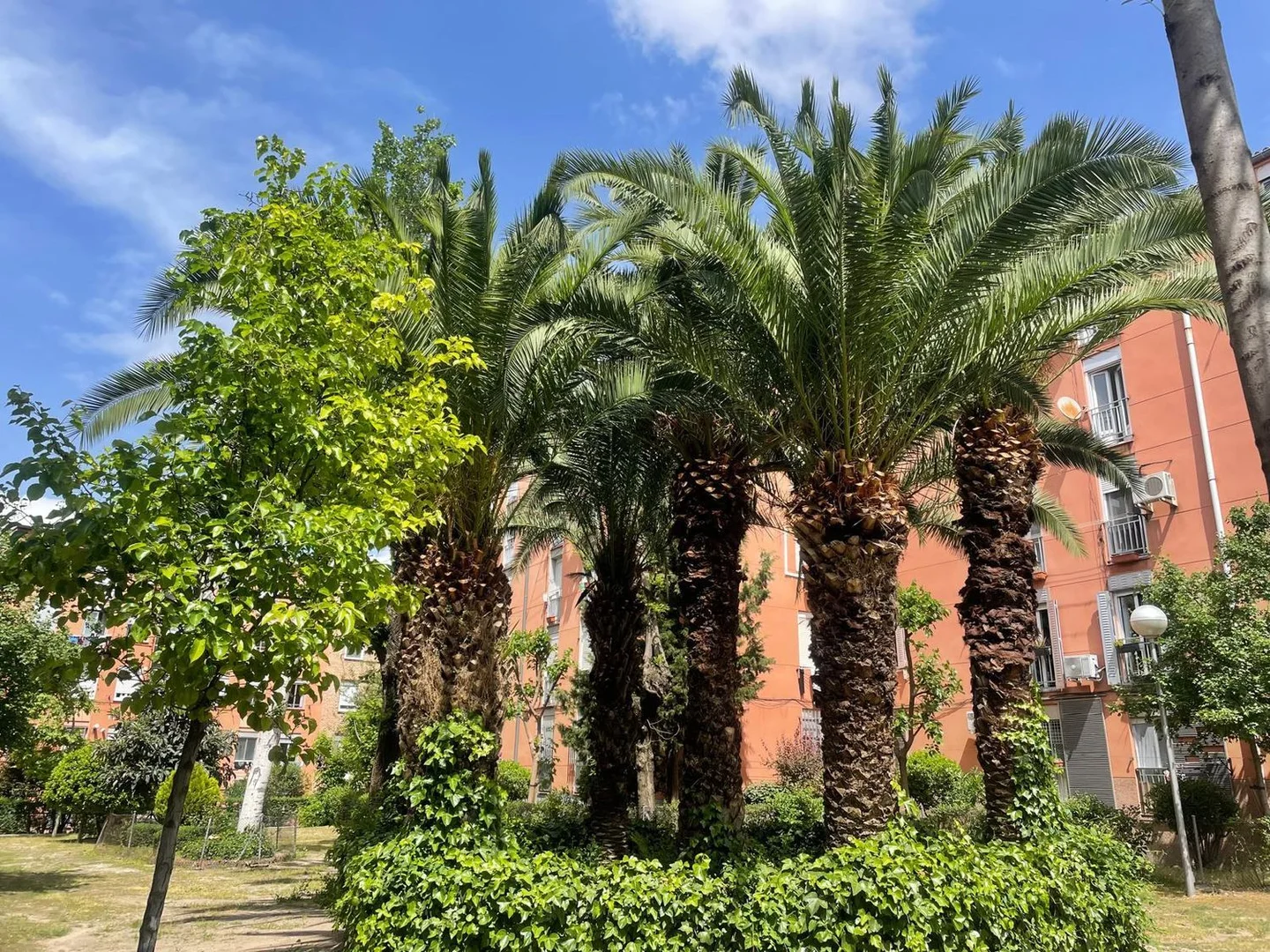 Piso en calle de la Colonia Erillas, 6 - Foto 24