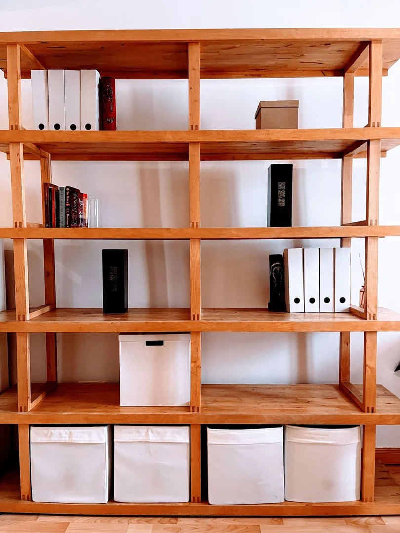 Estudio en calle del Salitre, 54 - Foto 15