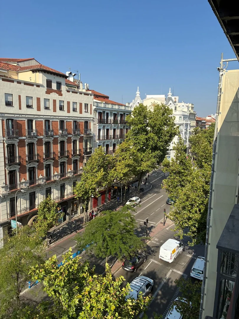 Piso en Calle de Sagasta, 3, Trafalgar - Foto 3