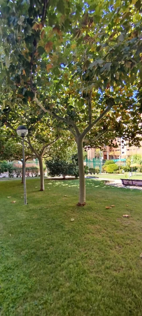 Piso en Calle Minerva, 81, Valdebernardo - Valderrivas - Foto 30