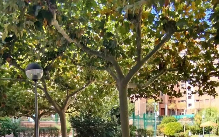Piso en Calle Minerva, 81, Valdebernardo - Valderrivas - Foto 30