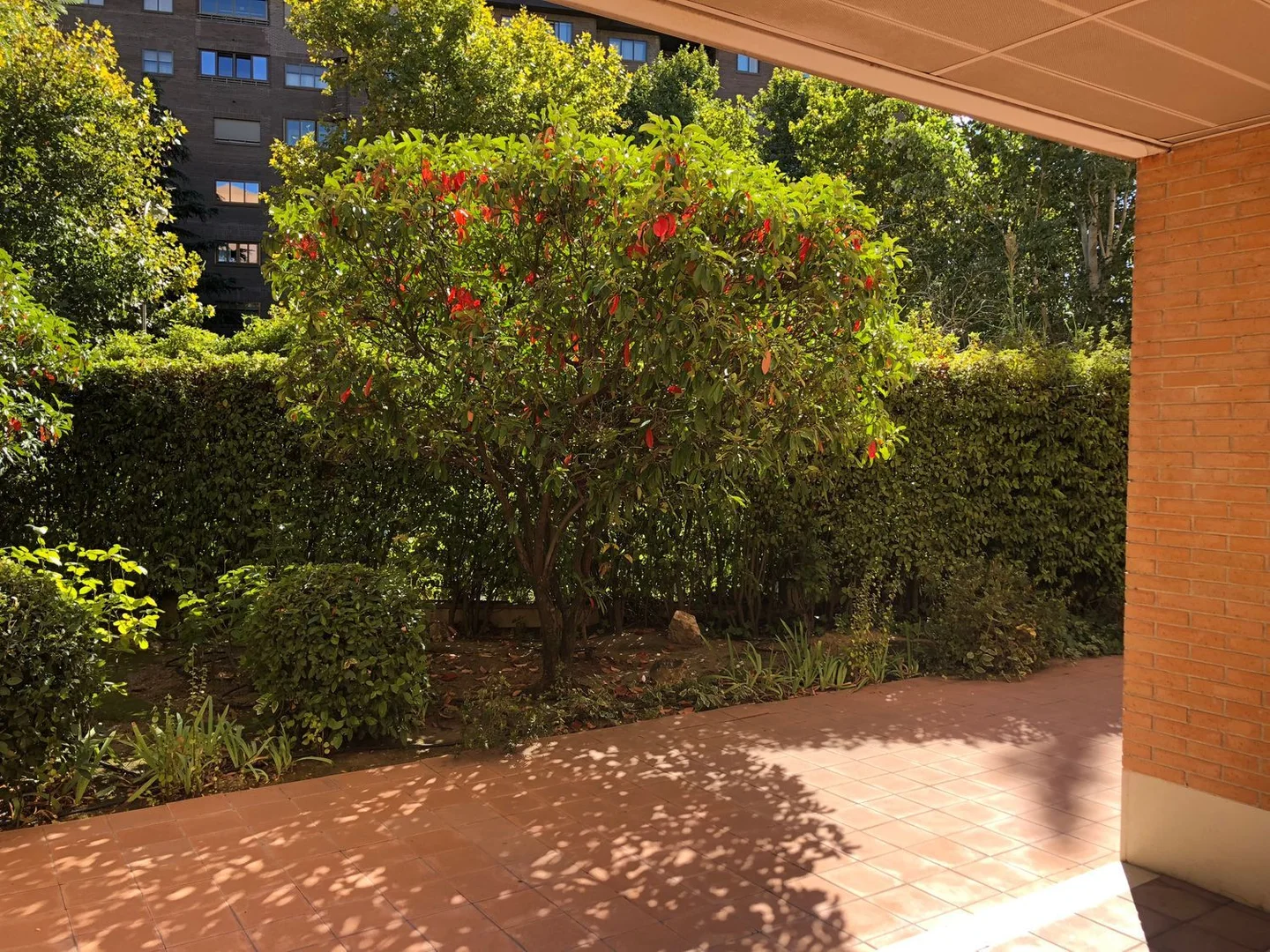 Piso en Calle de la Costa Brava, 30, Mirasierra - Foto 13