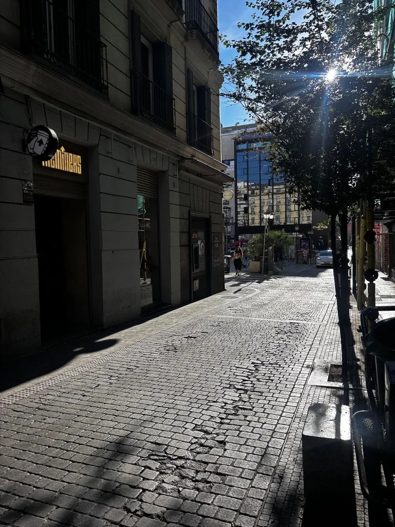 Piso en Calle de las Infantas, 1, Chueca-Justicia - Foto 19