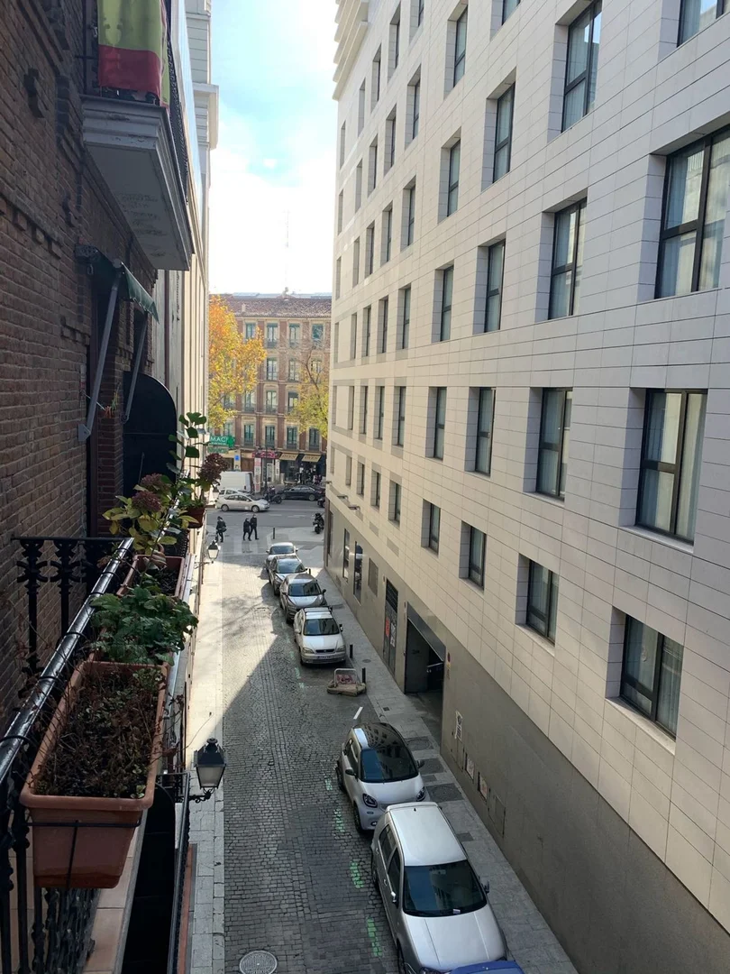 Piso en paseo del Prado, 42 - Foto 26