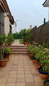 Casa independiente en avenida Tío Pepe, 24 - Foto 5