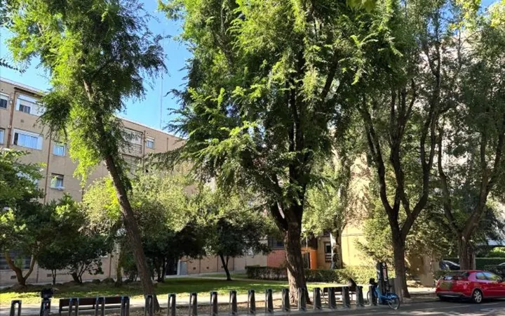 Piso en Encomienda De Palacios, Fontarrón - Foto 5