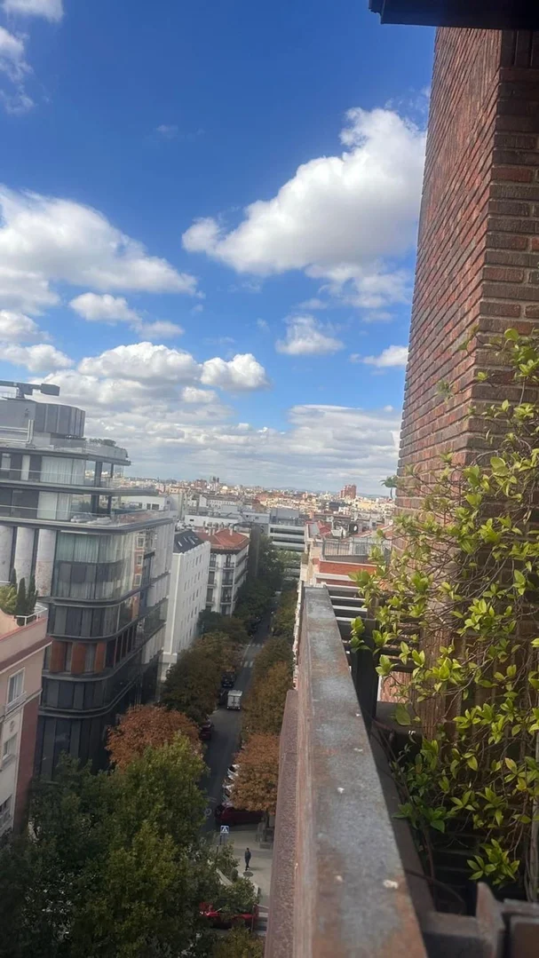 Ático en Barrio Castellana - Foto 9