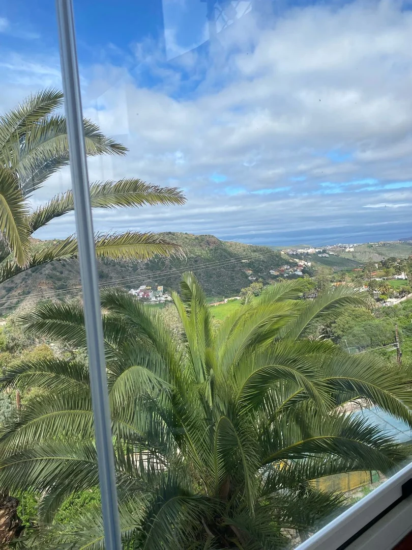 Chalet adosado en calle Doctor Vicente Navarro Marco, 56 - Foto 32