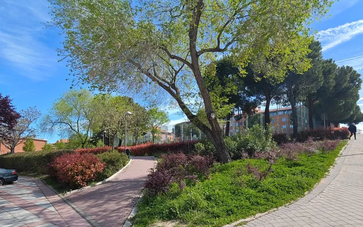 Piso en Avenida Segunda - Foto 17