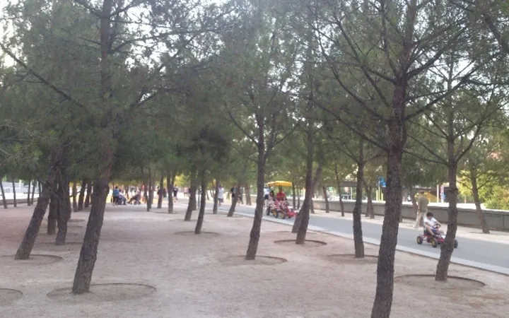 Piso en Avenida del Manzanares, 58 - Foto 13