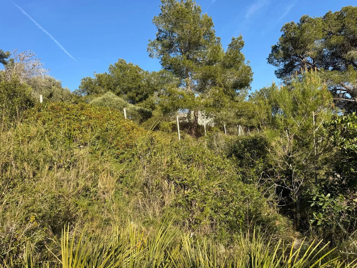 Casa independiente en calle Violeta, 38 - Foto 26