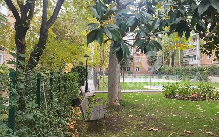 Bajo en Mirasierra, Madrid - Foto 30