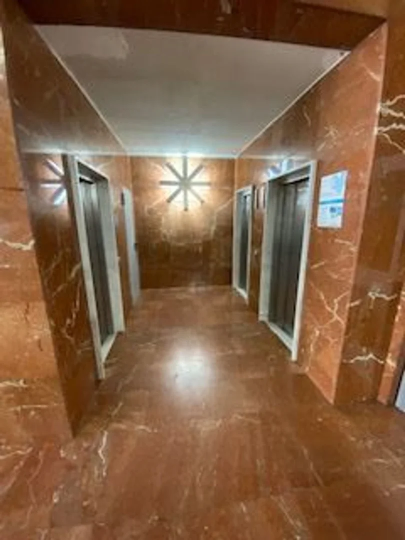 Piso en Calle de Rosario Pino, 18, Cuzco-Castillejos - Foto 11