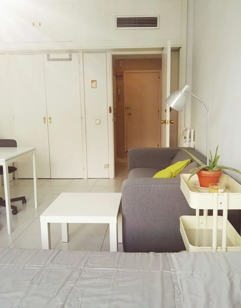 Estudio en Calle Velázquez, 146, El Viso - Foto 14