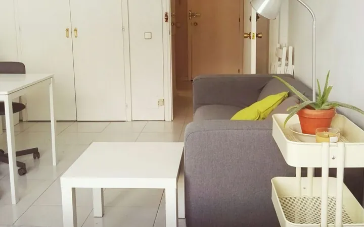Estudio en Calle Velázquez, 146, El Viso - Foto 14
