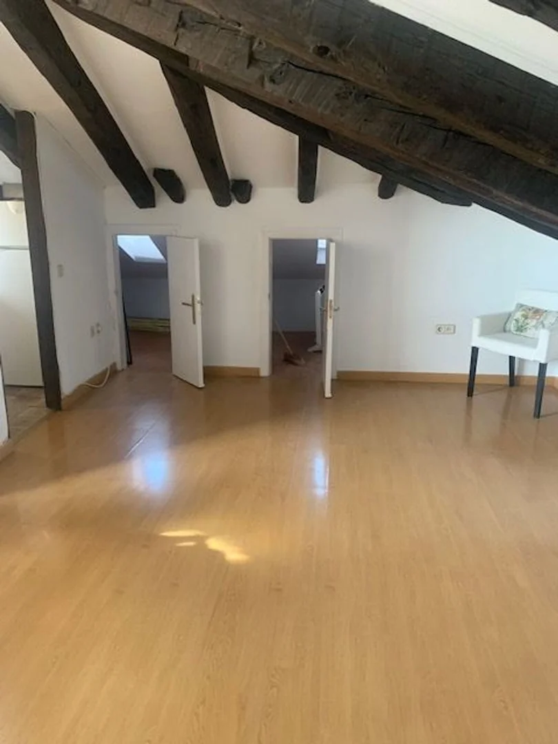 Piso en Calle del Conde de Romanones, 8, Lavapiés-Embajadores - Foto 3