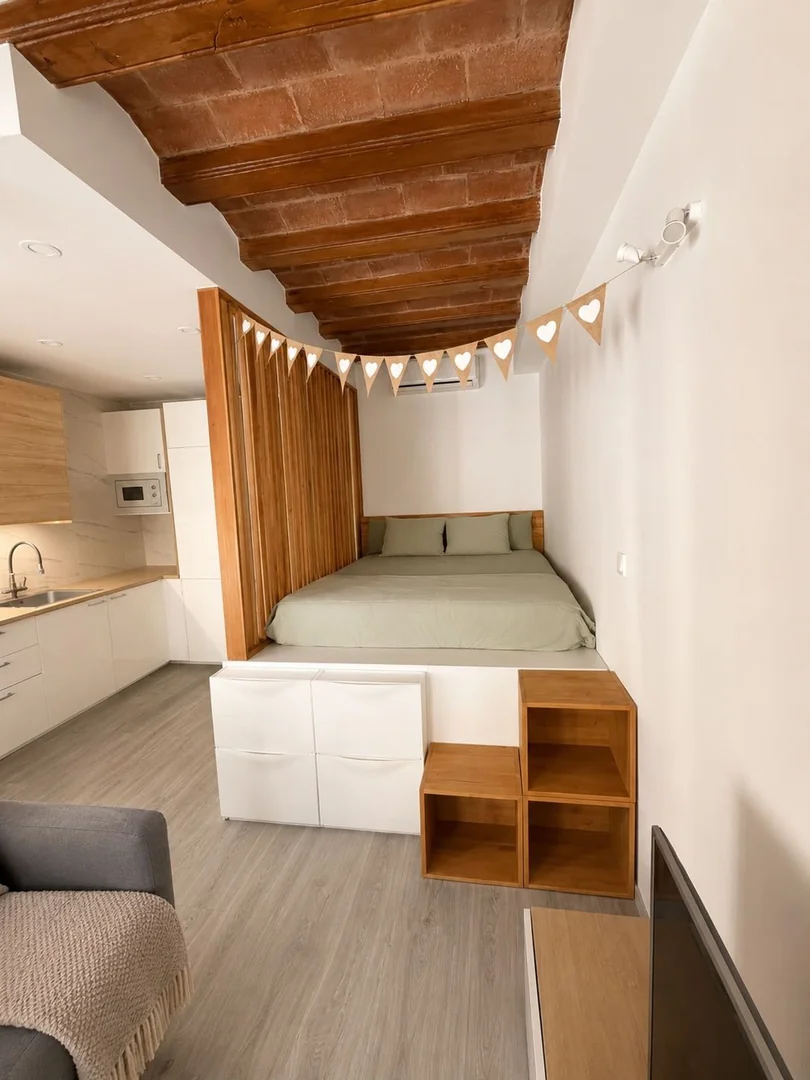 Estudio en Calle de l'Est, 11, El Raval - Foto 5