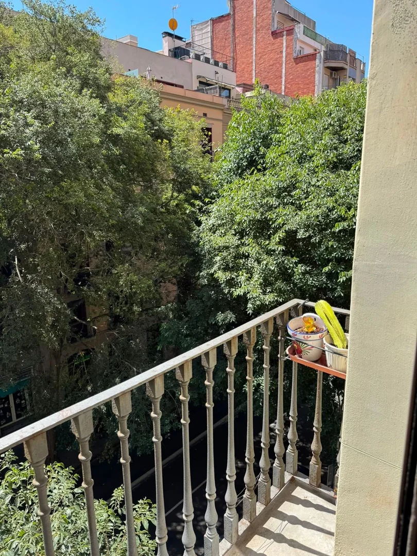 Piso en Calle de Floridablanca, 150, Sant Antoni - Foto 5