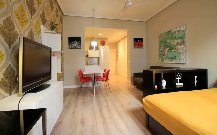 Estudio en Calle de las Huertas, 2, Huertas-Cortes - Foto 11