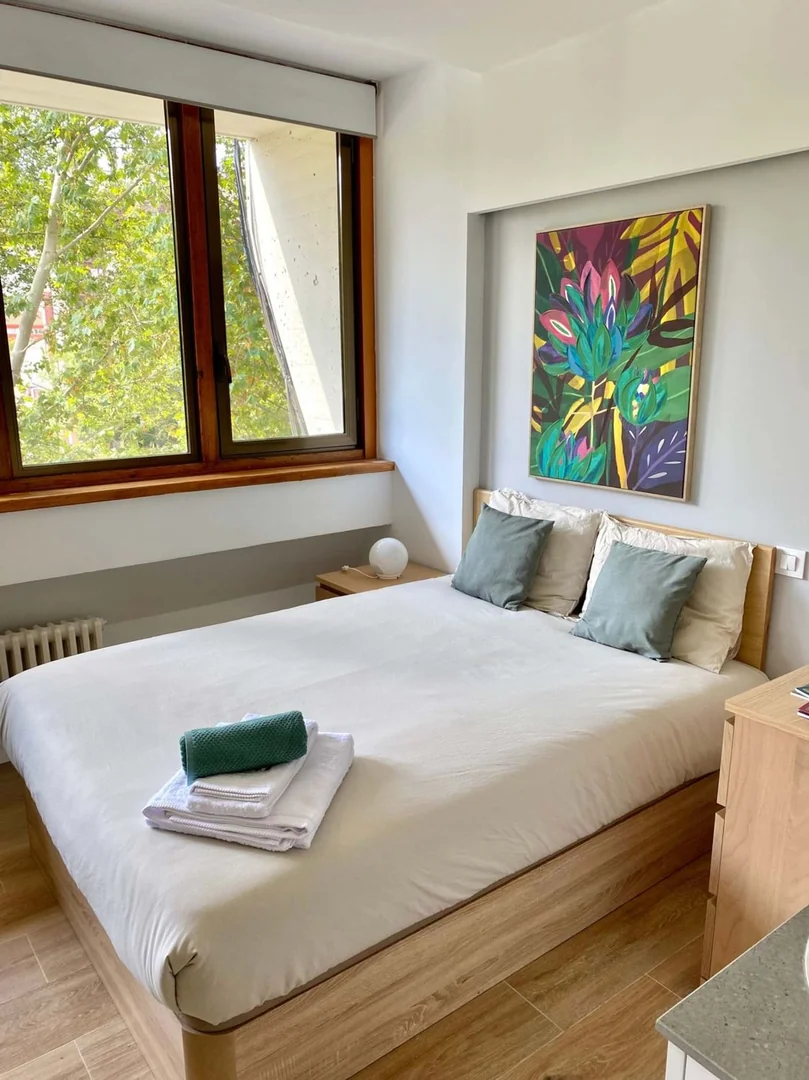 Estudio en Avenida del Doctor Federico Rubio y Galí, 11, Bellas Vistas - Foto 11