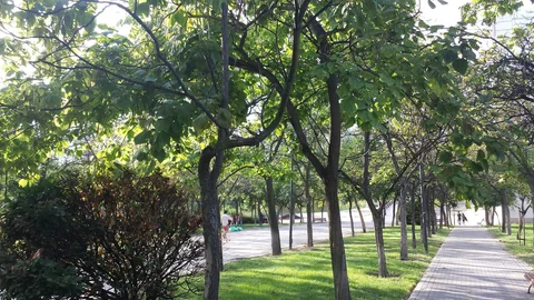 Piso en calle de las Nebulosas, 16 - Foto 18