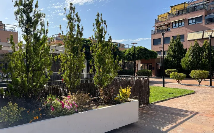 Piso en Calle del Monasterio de las Batuecas, 32, Montecarmelo - Foto 31