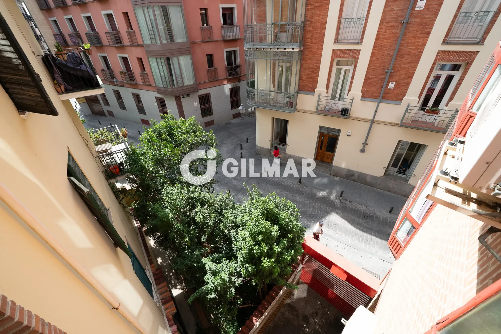 Estudio en Palacio, Madrid - Foto 12