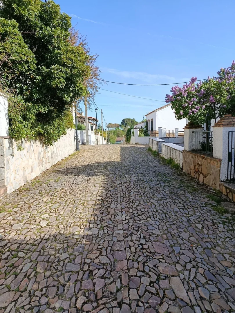 Casa rural en venta en Calle la Purisima, 28 - Foto 34