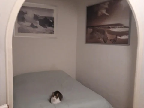 Piso en  Carrer de Blai 70 - Foto 6