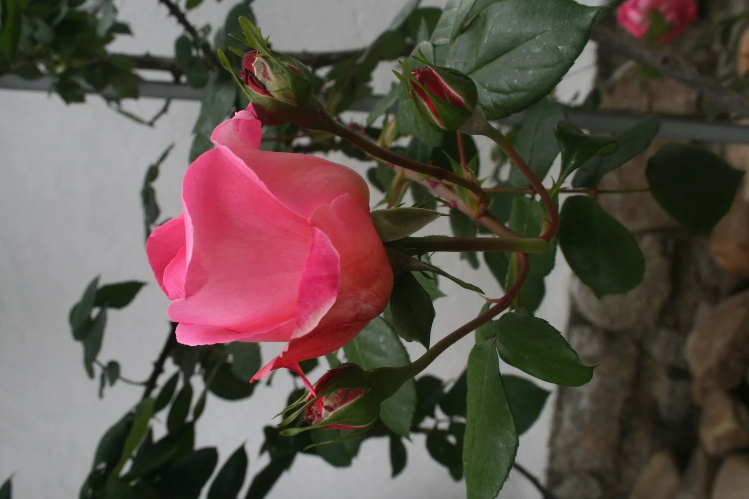 Chalet pareado en calle Valle Laciana, 52 - Foto 23