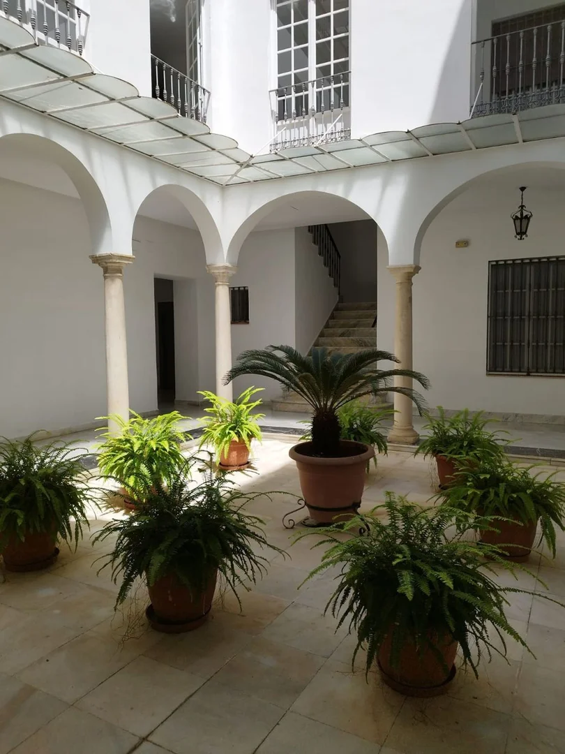 Dúplex en Calle Tomás de Ibarra, 28 - Foto 4