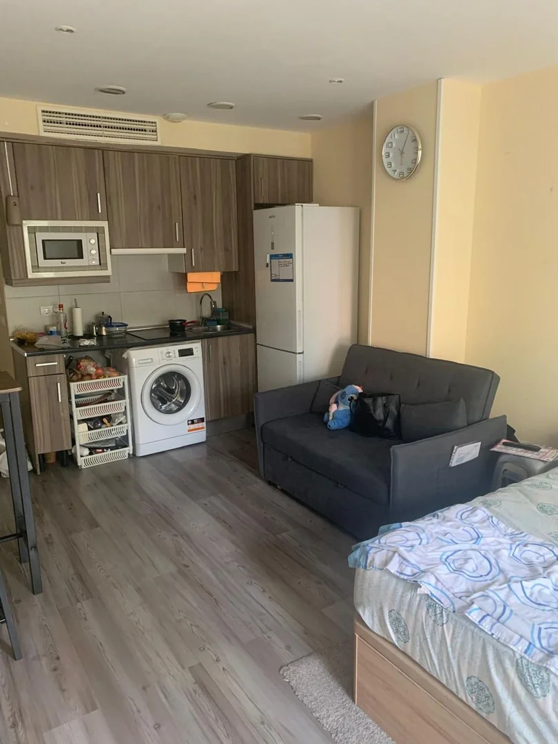 Estudio en Calle Humanitarias, 18, Vista Alegre - Foto 3