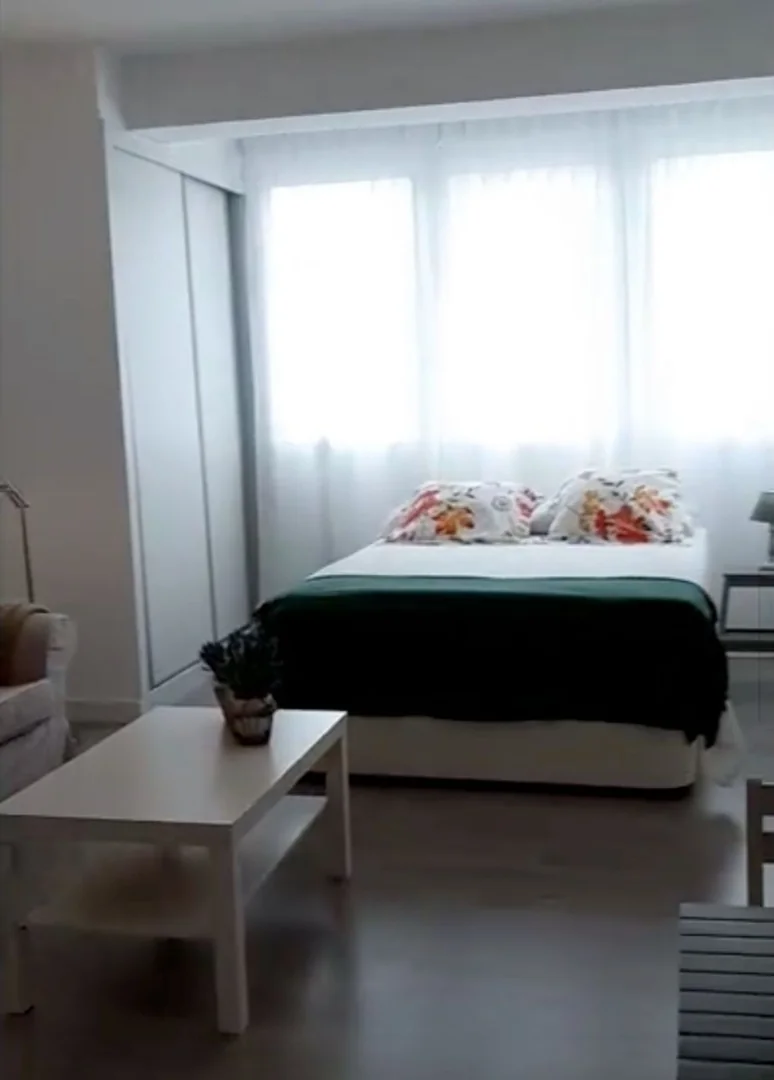 Estudio en Calle Arquitecto Gaudí, 1, Nueva España - Foto 16