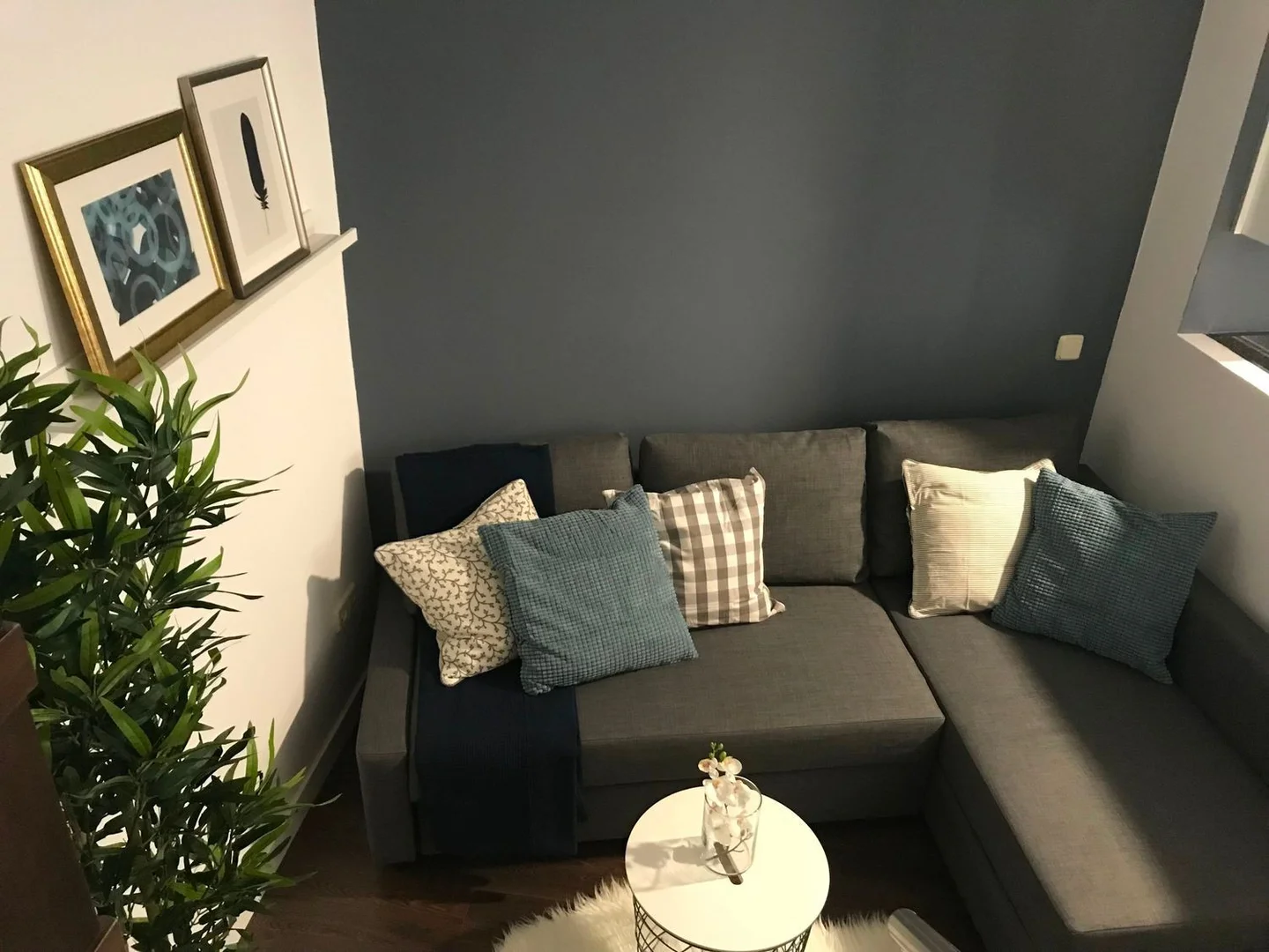 Estudio en calle Calvo Asensio, 10 - Foto 1