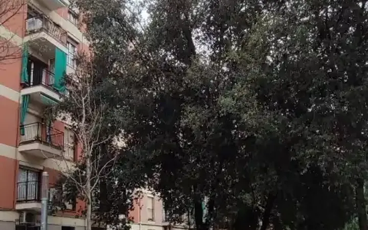 Piso en  Carrer de l'Escultor Ordóñez 55X - Foto 10
