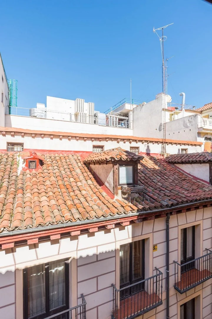 Piso en Calle de la Paz, 19, Sol - Foto 17