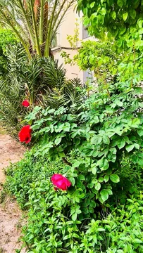 Piso en Opañel - Foto 21