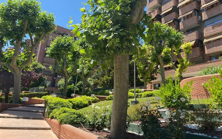 Piso en Fuente del Berro, Fuente del Berro - Foto 22