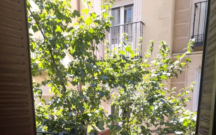 Estudio en Calle de San Marcos, 15 - Foto 1