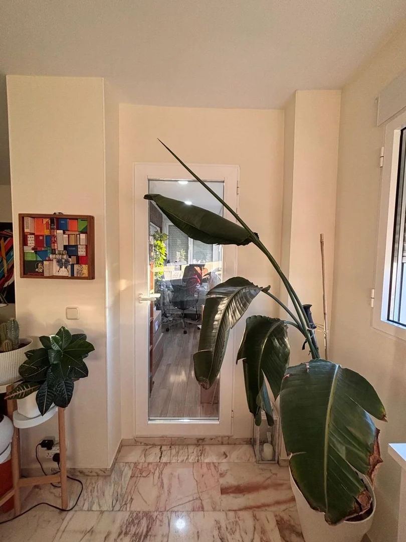 Piso en Calle de Fermín Caballero, 61, Pilar - Foto 10