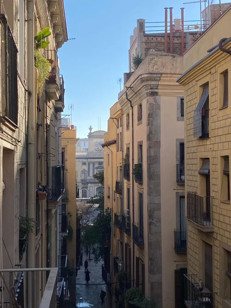 Piso en Calle de la Vidrieria, 5 - Foto 3