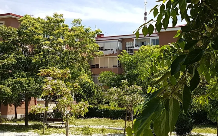 Piso en Avenida Quinta, 14, Rejas - Foto 5