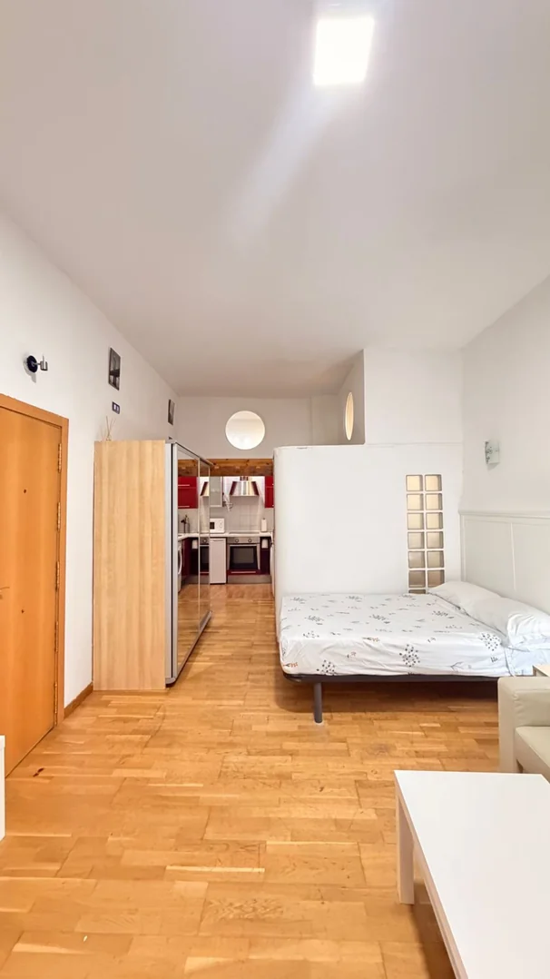 Estudio en Calle del Limón, 16, Malasaña-Universidad - Foto 4
